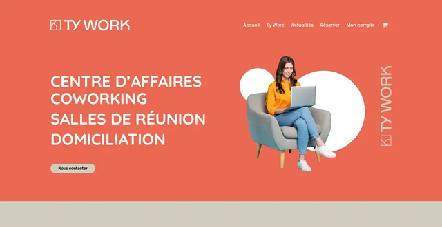 Page d'accueil du site Ty Work